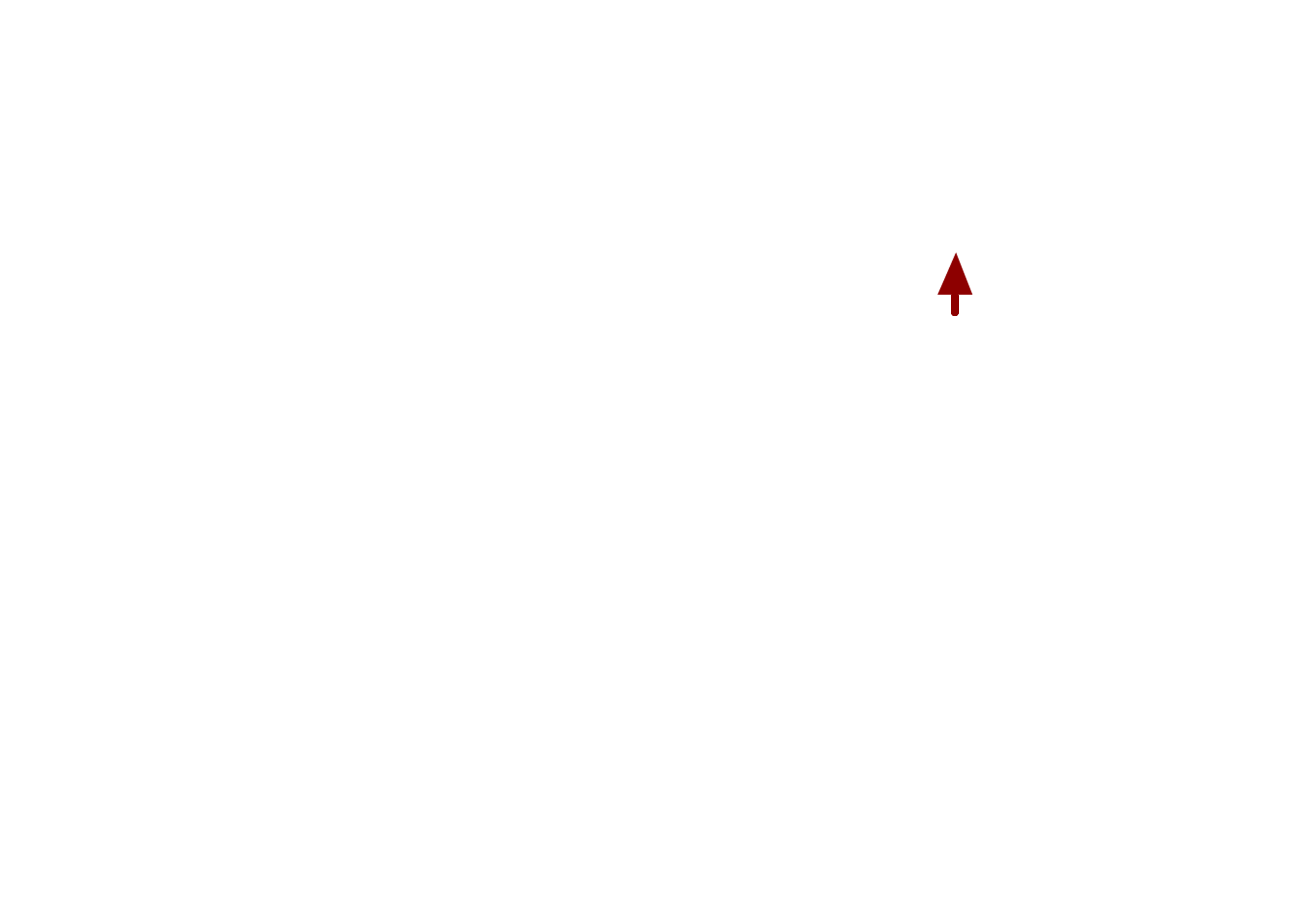 SpiceUp Photography